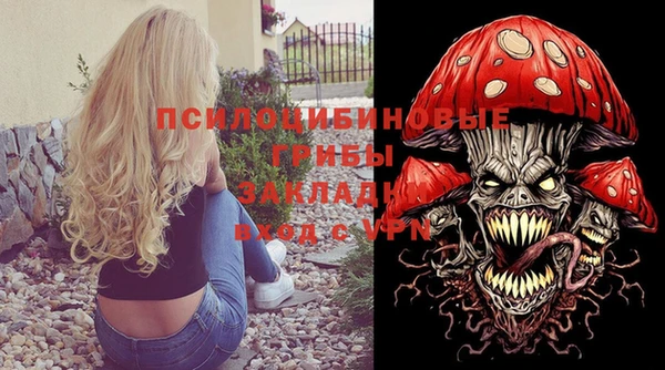 таблы Ельня