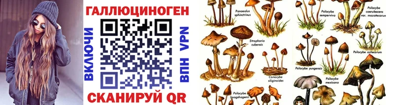 Купить закладки  Зея  Псилоцибиновые грибы ЛСД 