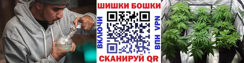 Бошки Шишки ГИДРОПОН  Купить где  Зея 